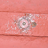 countersink bolt in place
