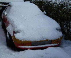 snow