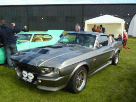 mustang