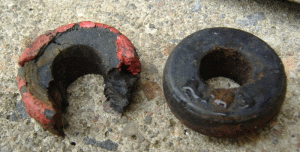 rear bush