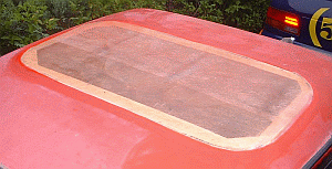 trimmed panel