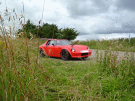 grass