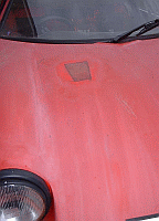 smooth bonnet