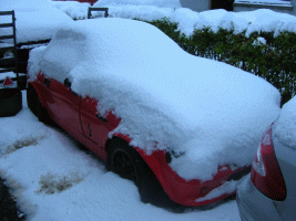 snow 2010