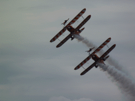 wing walkers