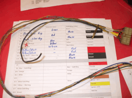 Wiring loom